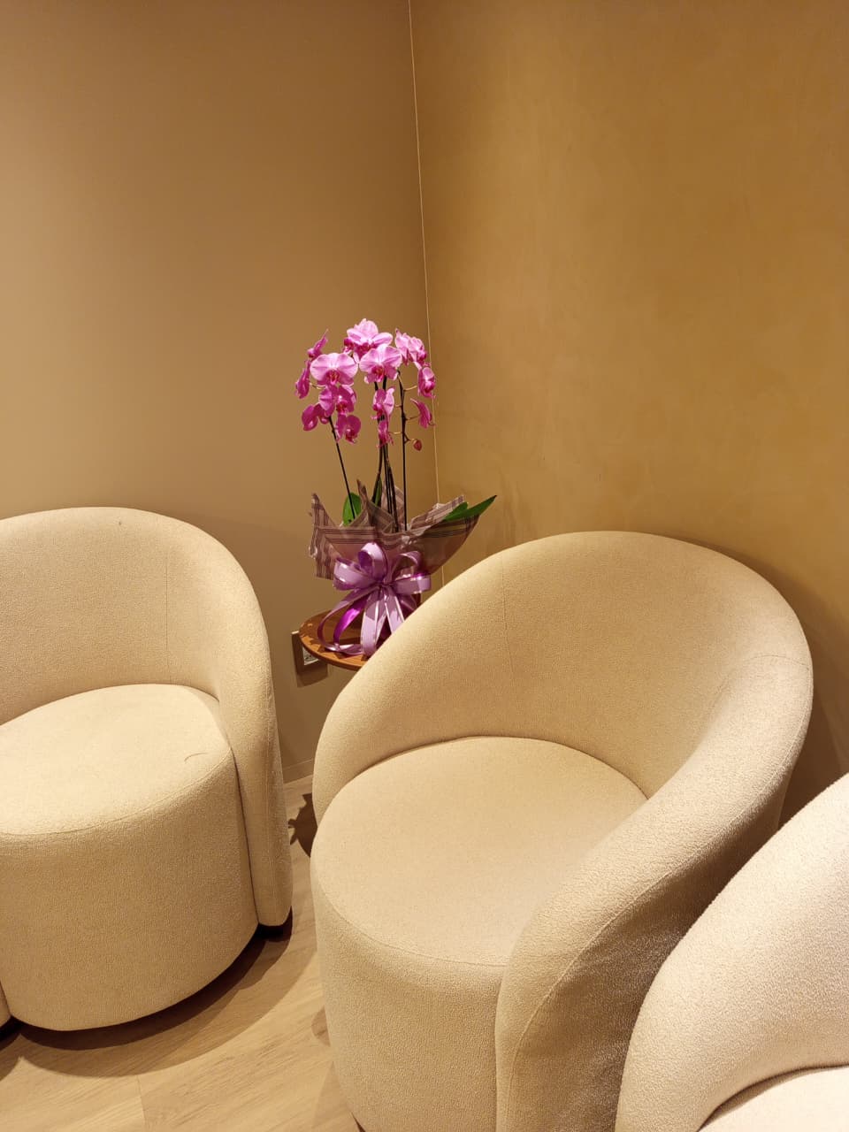 Poltronas claras e arredondadas na sala de espera, com uma orquídea rosa entre elas.
